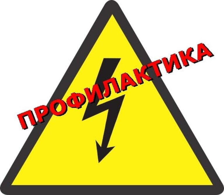 profilkatika