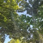 IMG_20260820_143605